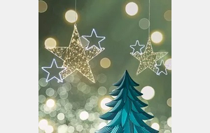 21 Decembre 2024 : AG / Plateau M11 et matchs loisirs